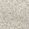 12/0 Glass Seed Beads SEED-A005-2mm-21-2