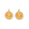 Brass Enamel Pendants KK-H072-14G-03-1