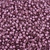 MIYUKI Round Rocailles Beads SEED-JP0008-RR1931-3