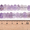 Natural Amethyst Beads Strands G-N347-09A-05-5