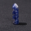 Natural Blue Spot Jasper Display Decoration PW-WG18451-04-1