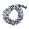 Natural Blue Spot Jasper Beads Strands G-U023-A05-01-3