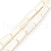 Electroplated Shell Pearl Beads Strands BSHE-G027-08A-1