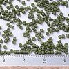 MIYUKI Delica Beads SEED-X0054-DB0391-4