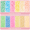   6000Pcs 12 Style Glass Seed Beads SEED-PH0002-13-4