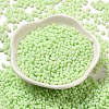 Glass Frosted Seed Beads SEED-K009-05B-06-2
