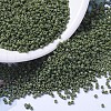 MIYUKI Delica Beads SEED-X0054-DB1135-1