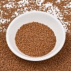 MIYUKI Delica Beads SEED-J020-DB2287-2