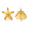 Glass Pendants PALLOY-MZ00741-06-1