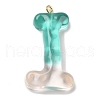 Resin Pendant FIND-Q107-01I-01-1