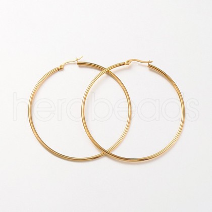 304 Stainless Steel Hoop Earrings EJEW-N0016-11G-J-1