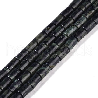 Natural Kambaba Jasper Beads Strands G-C128-A07-01-1