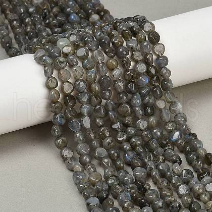 Natural Labradorite Beads Strands G-Q060-B02-1