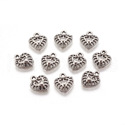 Tibetan Style Alloy Charms LF10645Y-NF-1