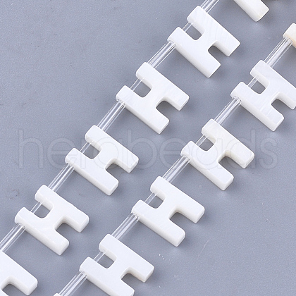 Natural Freshwater Shell Beads SHEL-T012-59H-1