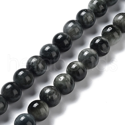 Natura Hawk's Eye Beads Strands G-D0001-22B-8mm-01-1