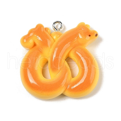 Opaque Resin Pendants RESI-RESI-R462-01B-1