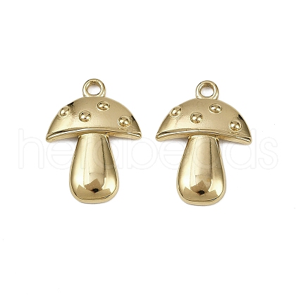 304 Stainless Steel Pendants STAS-D363-08G-1