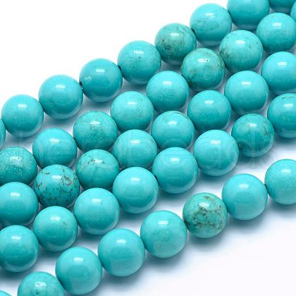 Natural Magnesite Round Beads Strands TURQ-G148-03-10mm-1