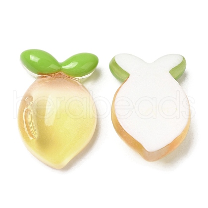 Translucent Resin Fruit Cabochons RESI-G072-03E-1