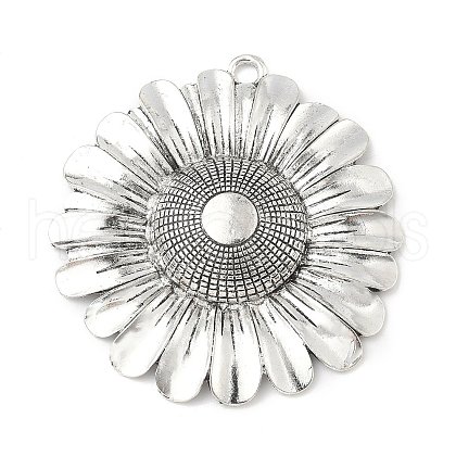 Tibetan Style Alloy Big Pendants TIBEP-F077-01A-1
