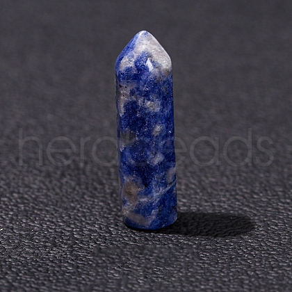 Natural Blue Spot Jasper Display Decoration PW-WG18451-04-1