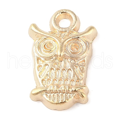 CCB Plastic Pendants FIND-U003-12G-1