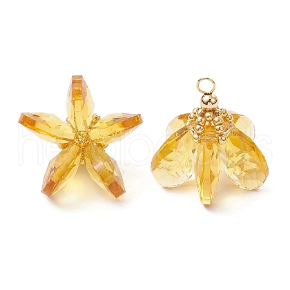 Glass Pendants PALLOY-MZ00741-06-1