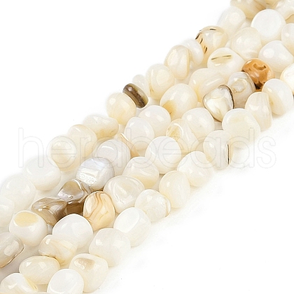 Natural Freshwater Shell  Beads Strands BSHE-H109-06-1