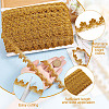 Metallic Braided Lace Trim OCOR-WH0086-92-5