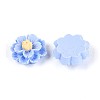 Resin Decoden Cabochons CRES-T025-04C-2