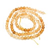 Natural Citrine Beads Strands G-P457-A03-22-3