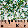 Glass Bugle Beads SEED-S032-09A-646-4