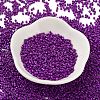 Baking Paint Glass Seed Beads X-SEED-S042-05B-73-2
