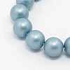Round Shell Pearl Frosted Beads Strands BSHE-I002-6mm-323-1