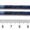 Natural Lapis Lazuli Beads Strands G-B091-A15-01-5