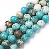 Natural Howlite Beads Strands X-G-L555-02-6mm-4