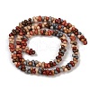 Handmade Lampwork Beads Strands LAMP-S070-12S-2
