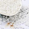 Glass Seed Beads SEED-L011-03A-18-1
