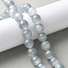 Natural Selenite Beads Strands G-C142-01B-13-2