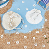 Beebeecraft 24Pcs 12 Styles 12 Constellation Natural Freshwater Shell Hollower Flat Round Charms SHEL-BBC0001-12-4