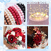 HOBBIESAY 12Style CCB Plastic Beads KY-HY0001-10-6