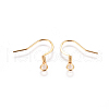 Ion Plating(IP) 304 Stainless Steel Earring Hooks STAS-F227-24A-G-2