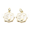 Brass Enamel Pendants KK-L237-007G-1