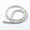 Natural Magnesite Beads Strands X-G-I199-27-12mm-2