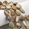 Natural Picture Jasper Beads Strands G-P528-L24-01-1