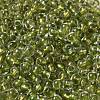 6/0 Transparent Colours Glass Seed Beads SEED-P006-01A-06-3