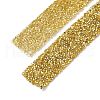 Glitter Resin Hotfix Rhinestone(Hot Melt Adhesive On The Back) OCOR-XCP0001-67-3