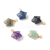 Natural Mixed Gemstone Charms PALLOY-JF00748-1