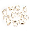 304 Stainless Steel Leverback Earrings Findings X-STAS-P227-47G-1